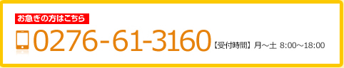 tel.0276-61-3160